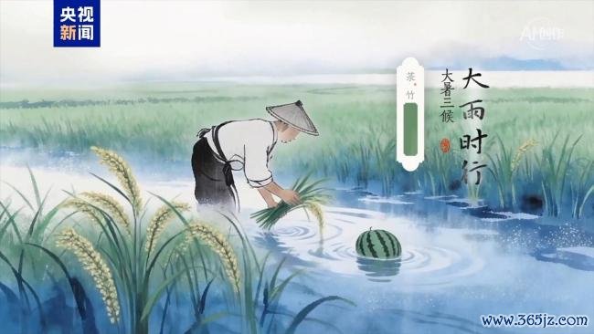 盛极而柔躁中藏静：大暑独有的浪漫