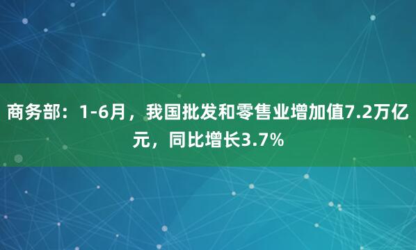 商务部：1-6月，我国批发和零售业增加值7.2万亿元，同比增长3.7%