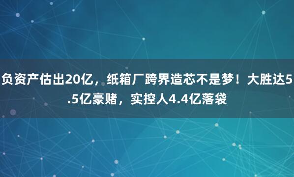 负资产估出20亿，纸箱厂跨界造芯不是梦！大胜达5.5亿豪赌，实控人4.4亿落袋