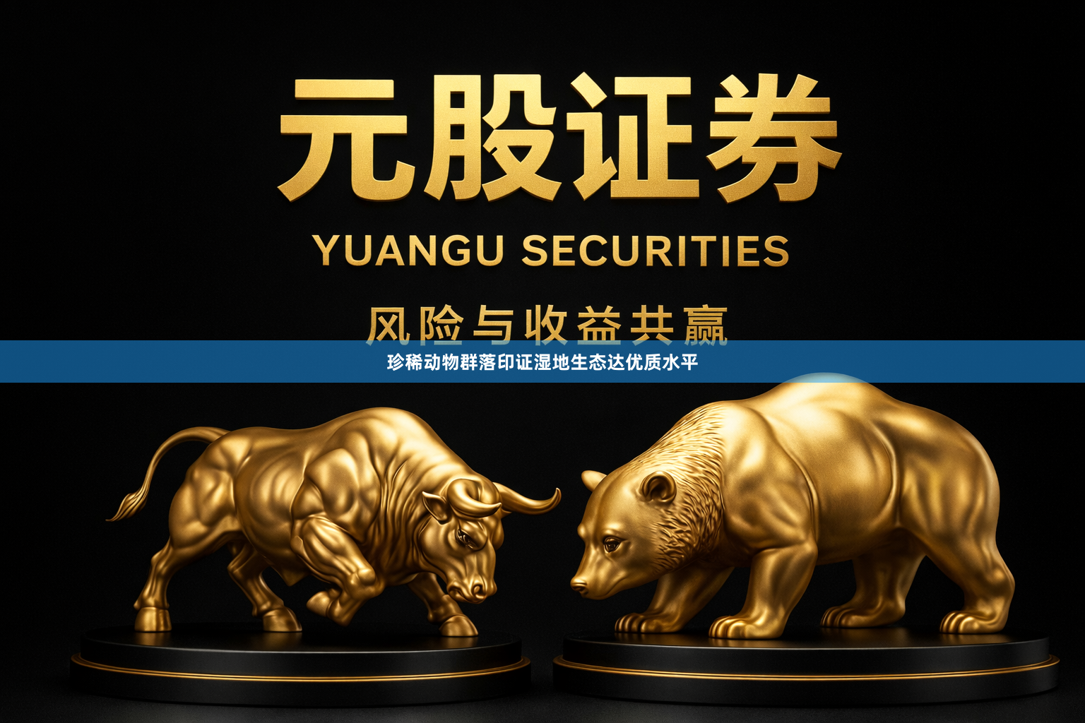 珍稀动物群落印证湿地生态达优质水平