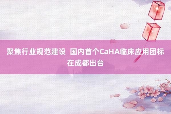 聚焦行业规范建设  国内首个CaHA临床应用团标在成都出台