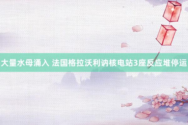 大量水母涌入 法国格拉沃利讷核电站3座反应堆停运