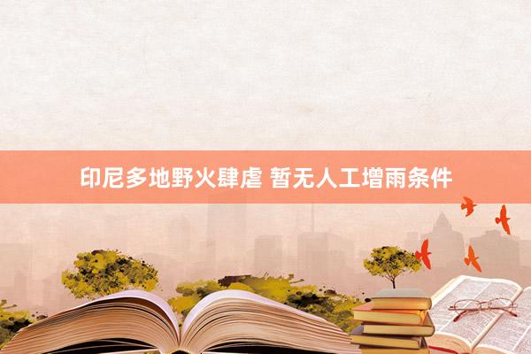 印尼多地野火肆虐 暂无人工增雨条件