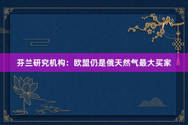 芬兰研究机构：欧盟仍是俄天然气最大买家