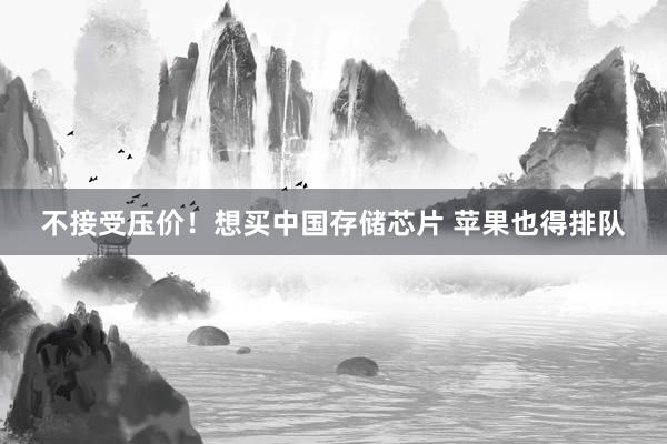 不接受压价！想买中国存储芯片 苹果也得排队
