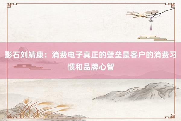 影石刘靖康：消费电子真正的壁垒是客户的消费习惯和品牌心智