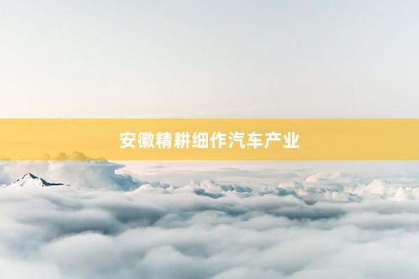 安徽精耕细作汽车产业