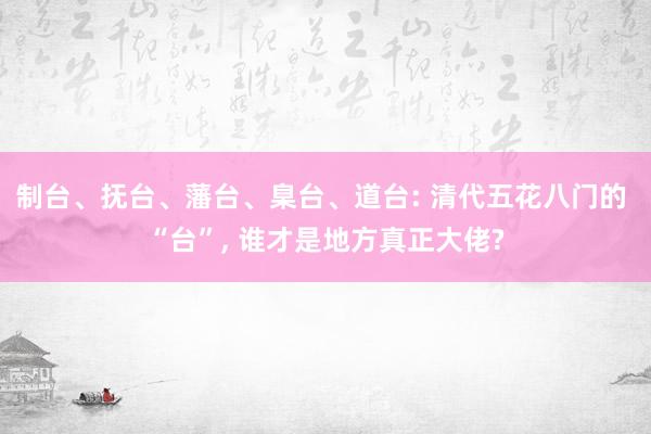 制台、抚台、藩台、臬台、道台: 清代五花八门的 “台”, 谁才是地方真正大佬?