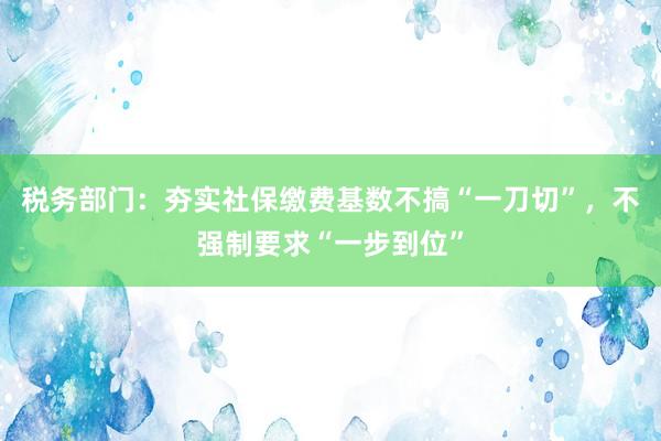 税务部门：夯实社保缴费基数不搞“一刀切”，不强制要求“一步到位”