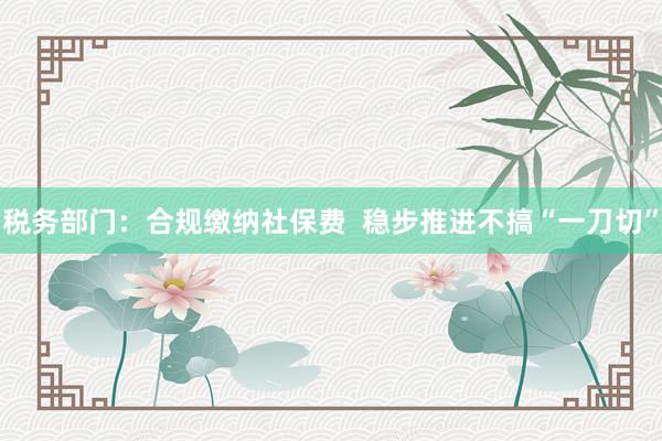 税务部门：合规缴纳社保费  稳步推进不搞“一刀切”