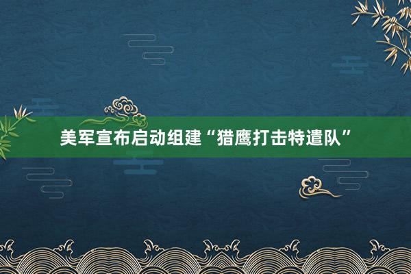 美军宣布启动组建“猎鹰打击特遣队”