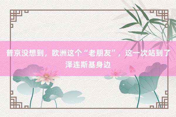 普京没想到，欧洲这个“老朋友”，这一次站到了泽连斯基身边