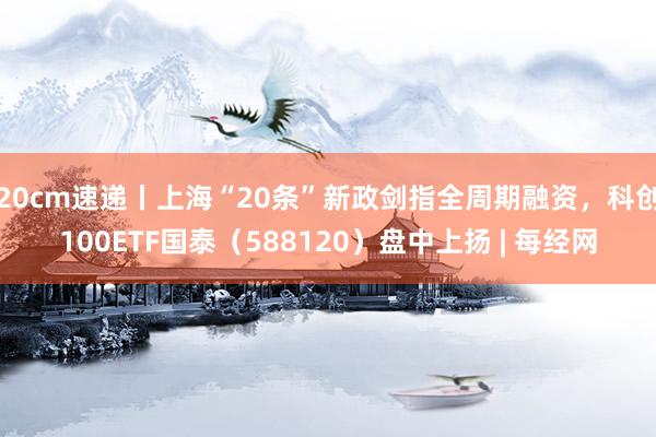 20cm速递丨上海“20条”新政剑指全周期融资，科创100ETF国泰（588120）盘中上扬 | 每经网