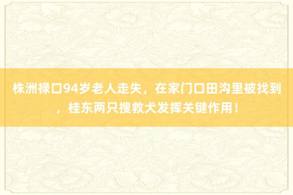 株洲禄口94岁老人走失，在家门口田沟里被找到，桂东两只搜救犬发挥关键作用！