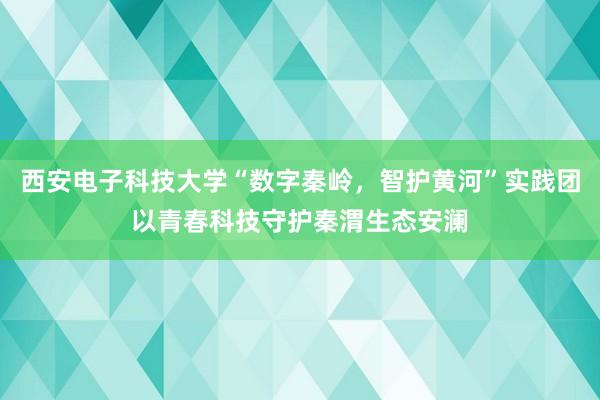 西安电子科技大学“数字秦岭，智护黄河”实践团以青春科技守护秦渭生态安澜