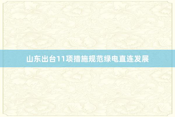 山东出台11项措施规范绿电直连发展