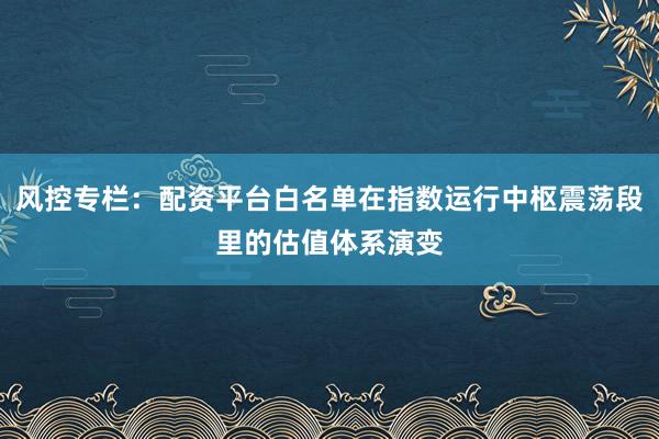 风控专栏：配资平台白名单在指数运行中枢震荡段里的估值体系演变