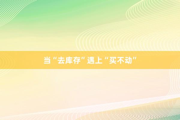 当“去库存”遇上“买不动”