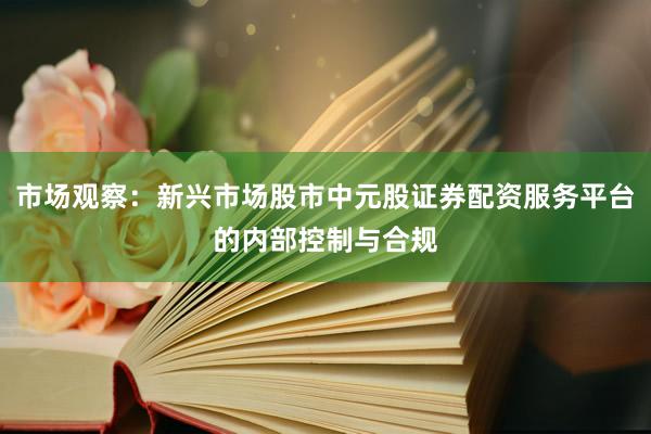 市场观察：新兴市场股市中元股证券配资服务平台的内部控制与合规