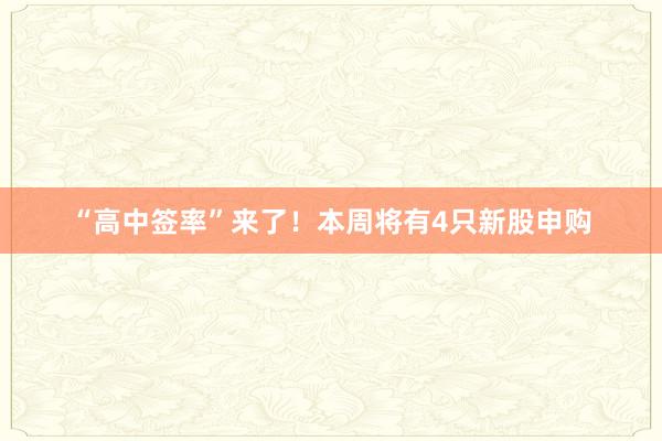 “高中签率”来了！本周将有4只新股申购