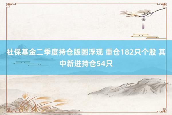 社保基金二季度持仓版图浮现 重仓182只个股 其中新进持仓54只