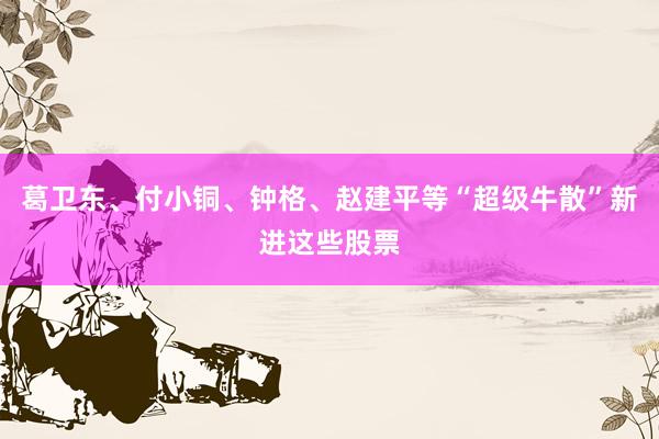 葛卫东、付小铜、钟格、赵建平等“超级牛散”新进这些股票