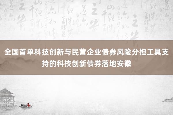全国首单科技创新与民营企业债券风险分担工具支持的科技创新债券落地安徽