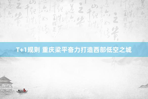 T+1规则 重庆梁平奋力打造西部低空之城