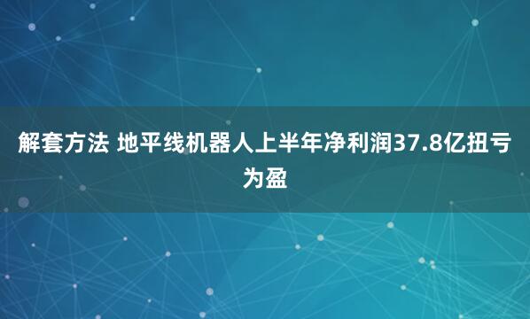 解套方法 地平线机器人上半年净利润37.8亿扭亏为盈