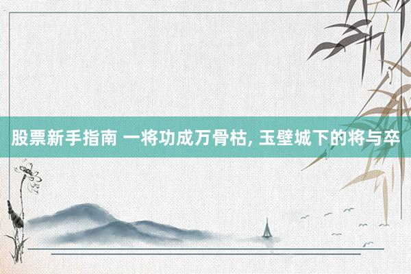 股票新手指南 一将功成万骨枯, 玉壁城下的将与卒