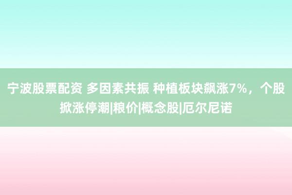 宁波股票配资 多因素共振 种植板块飙涨7%，个股掀涨停潮|粮价|概念股|厄尔尼诺