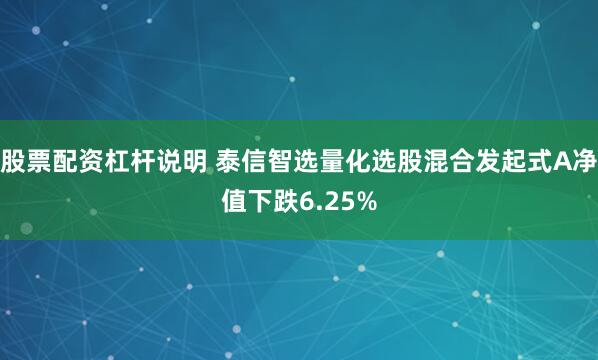股票配资杠杆说明 泰信智选量化选股混合发起式A净值下跌6.25%