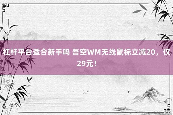 杠杆平台适合新手吗 吾空WM无线鼠标立减20，仅29元！