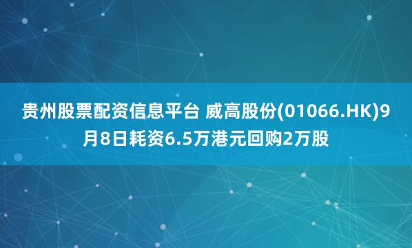贵州股票配资信息平台 威高股份(01066.HK)9月8日耗资6.5万港元回购2万股