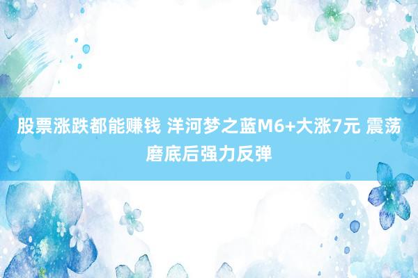 股票涨跌都能赚钱 洋河梦之蓝M6+大涨7元 震荡磨底后强力反弹