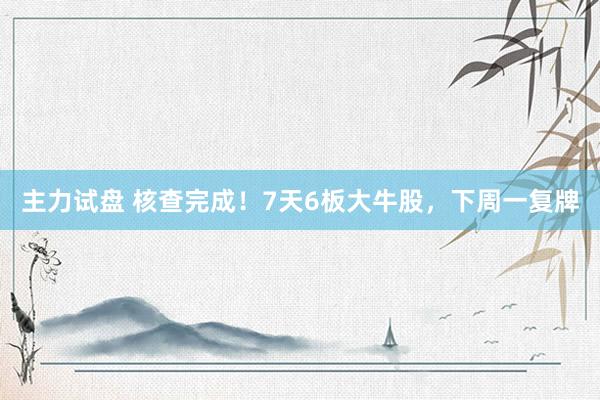 主力试盘 核查完成！7天6板大牛股，下周一复牌