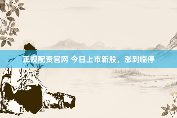 正规配资官网 今日上市新股，涨到临停