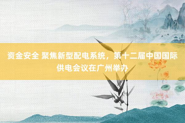 资金安全 聚焦新型配电系统，第十二届中国国际供电会议在广州举办