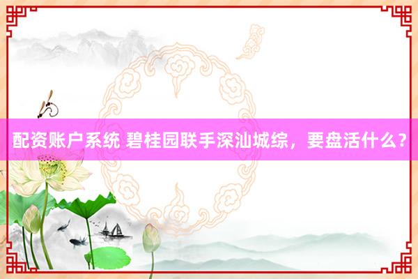 配资账户系统 碧桂园联手深汕城综，要盘活什么？