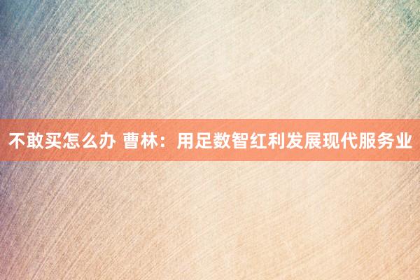 不敢买怎么办 曹林：用足数智红利发展现代服务业