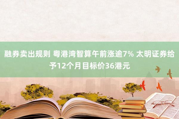 融券卖出规则 粤港湾智算午前涨逾7% 太明证券给予12个月目标价36港元