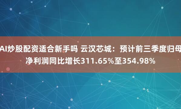 AI炒股配资适合新手吗 云汉芯城：预计前三季度归母净利润同比增长311.65%至354.98%