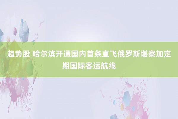 趋势股 哈尔滨开通国内首条直飞俄罗斯堪察加定期国际客运航线