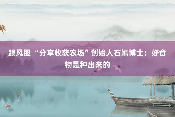 跟风股 “分享收获农场”创始人石嫣博士：好食物是种出来的